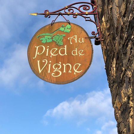 Appart Hotel Au Pied De Vigne Vresse-sur-Semois Exterior photo