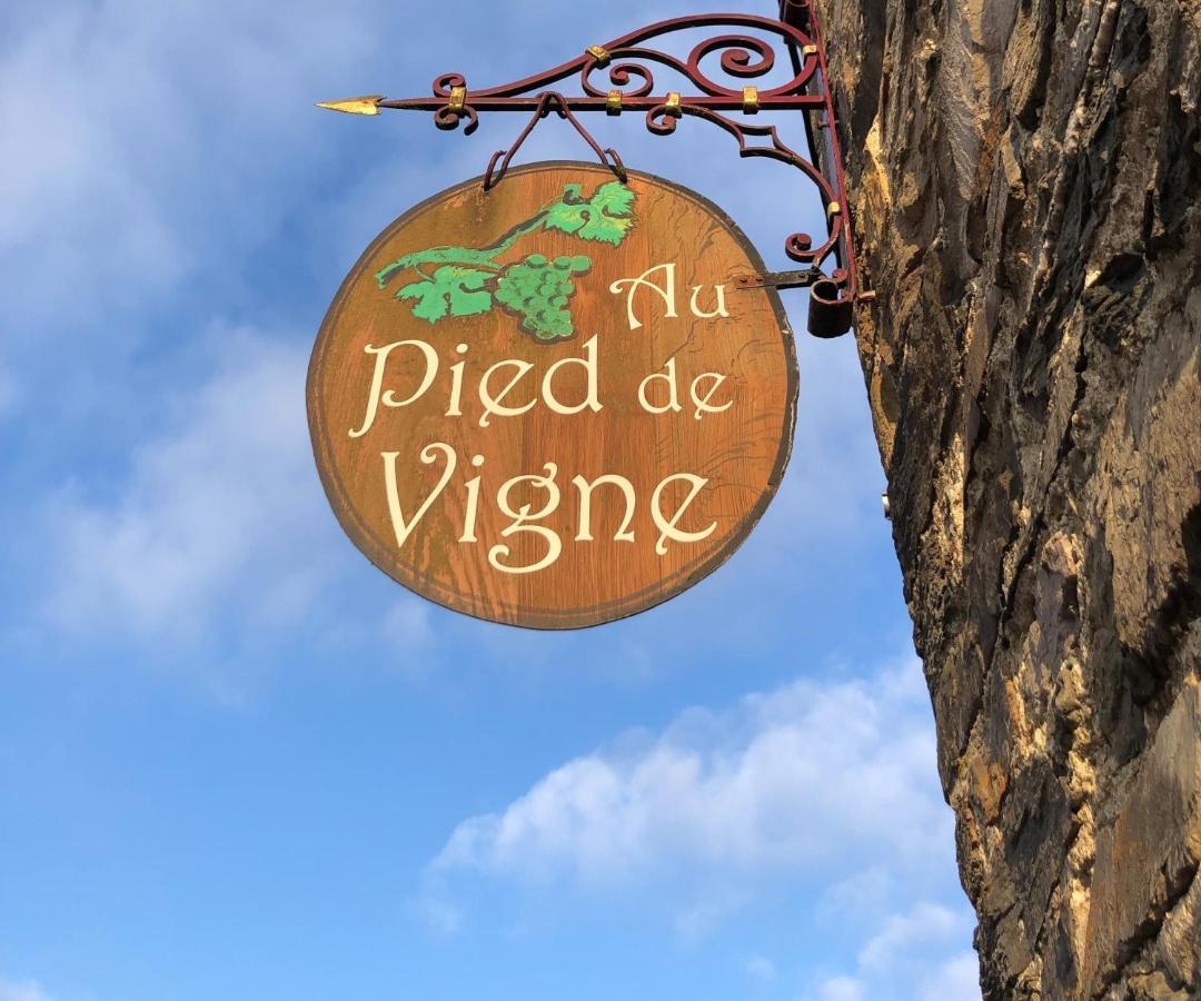 Appart Hotel Au Pied De Vigne Vresse-sur-Semois Exterior photo